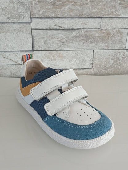 Baskets Loop Bleu et Jaune - Happy'Petons