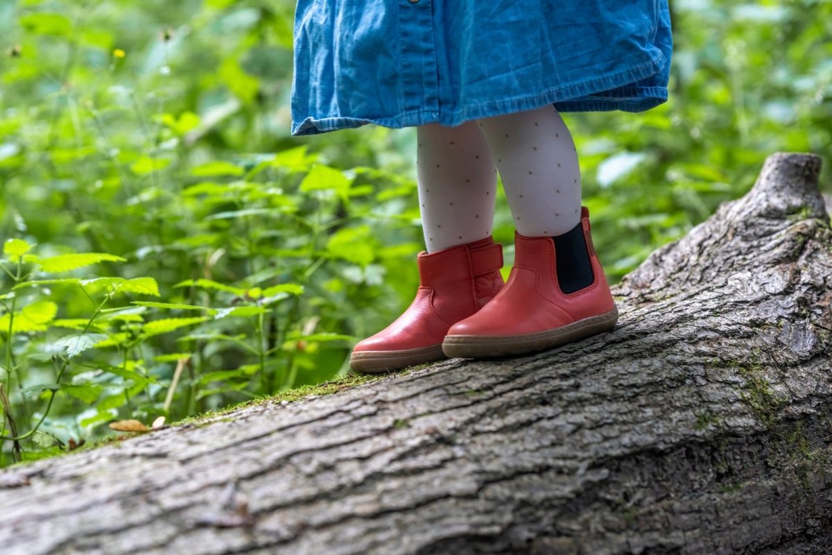 Bottines Plunie Chelsea Arae - Happy'Petons