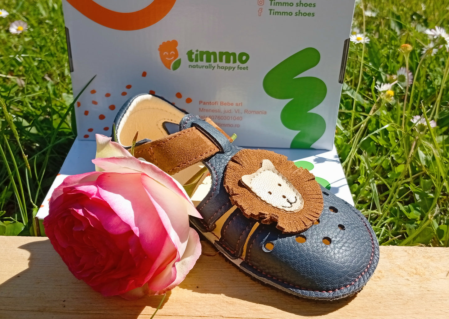 Sandales Timmo Airy - Lion